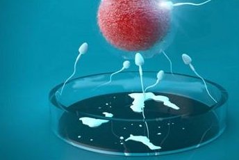 陕西试管移植要多少钱？陕西试管移植医院费用约1.5至2万元