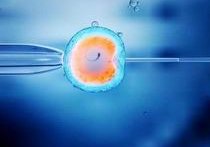 试管婴儿出现同卵的几率大吗？